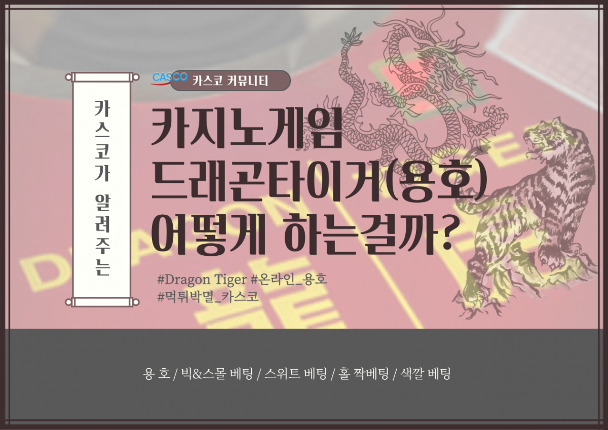카지노게임-드래곤타이거